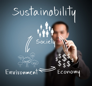 Sustainability Assessments